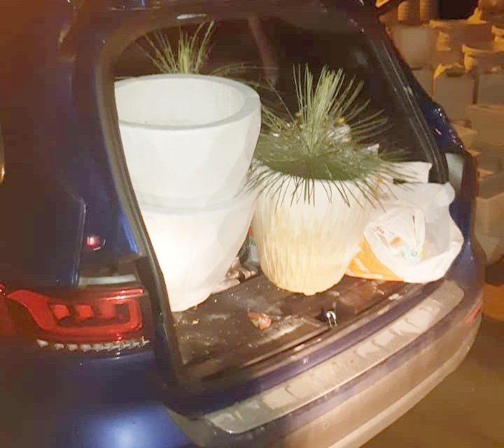 Homem que estava em carro de luxo avaliado em R$ 300 mil é detido por suspeita de furtar loja de plantas Homem que estava em carro de luxo avaliado em R$ 300 mil é detido por suspeita de furtar loja de plantas