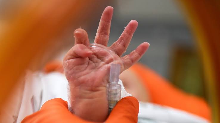 Caruaru: Criança de 5 anos se recupera de Síndrome Inflamatória Multissistêmica; Confira o boletim Caruaru: Criança de 5 anos se recupera de Síndrome Inflamatória Multissistêmica; Confira o boletim