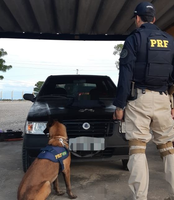 Procurado por receptação na Bahia é detido pela PRF em Pernambuco