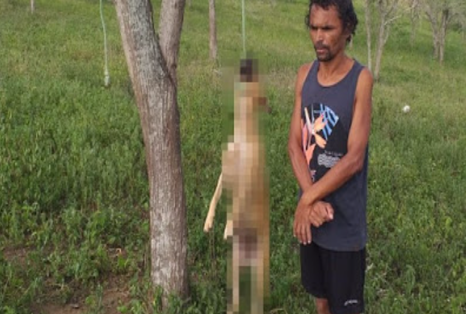 Acusados de matar cachorro enforcado no Agreste-PE são presos em flagrante Acusados de matar cachorro enforcado no Agreste-PE são presos em flagrante