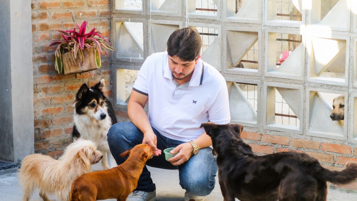 Fagner integra Comissão Permanente de Proteção e Defesa dos Direitos dos animais na Câmara