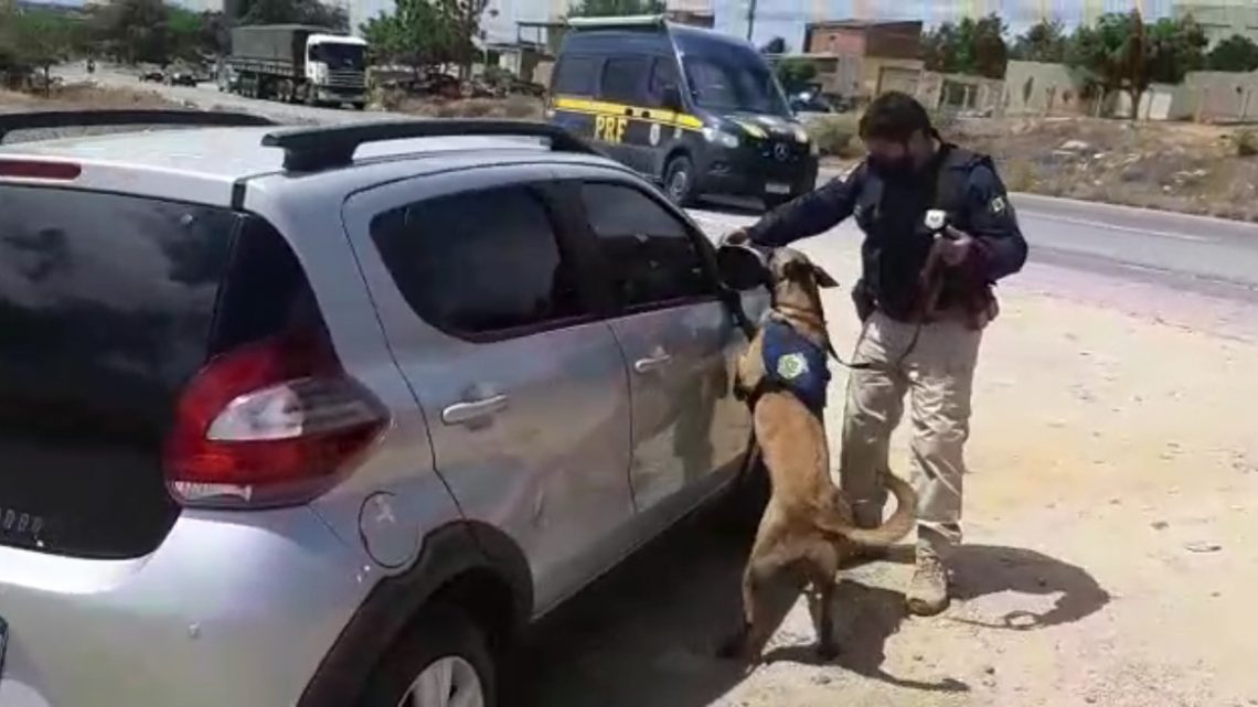 Com ajuda de cão farejador, homens são detidos com revólver na BR 232