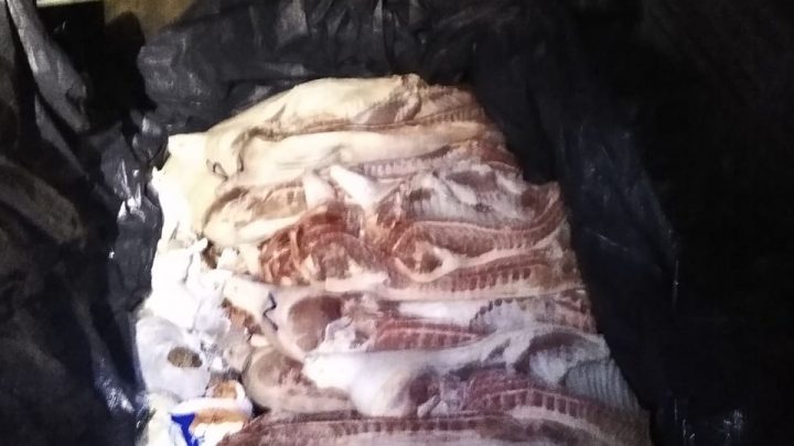 Carga irregular de carne é apreendida na PE-95 no Agreste de Pernambuco
