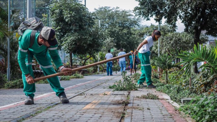 Reeducandos do regime aberto e livramento condicional trabalham na arborização dos canteiros de Caruaru