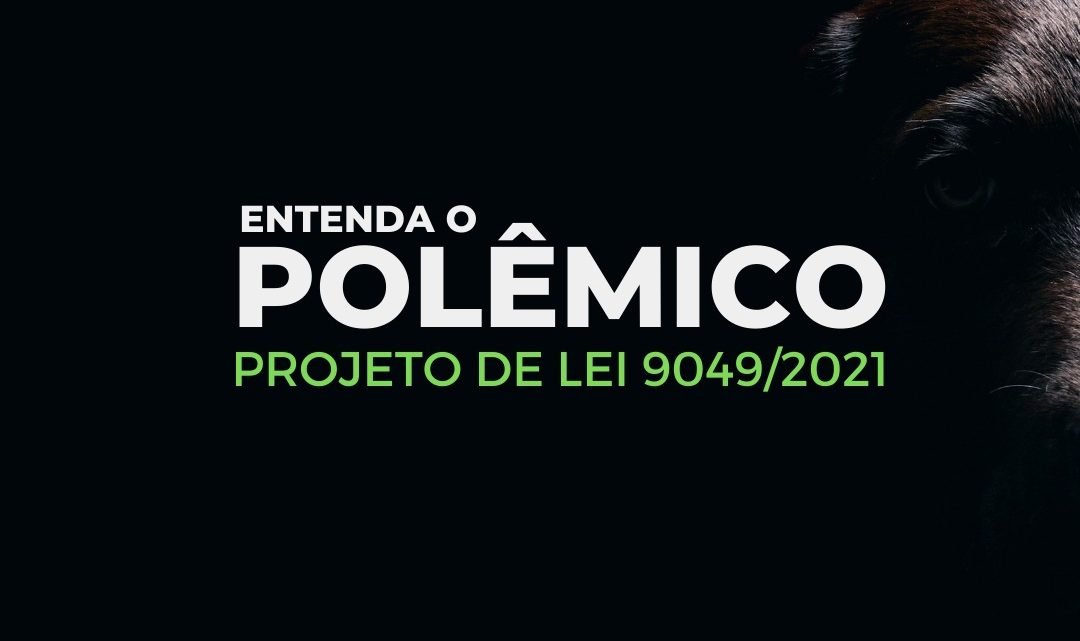 Fagner esclarece que PL sobre a venda do prédio da AME Animal não é Fake News