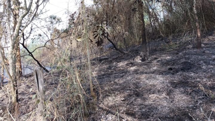 Incêndio atinge Reserva de Serra dos Cavalos, em Caruaru