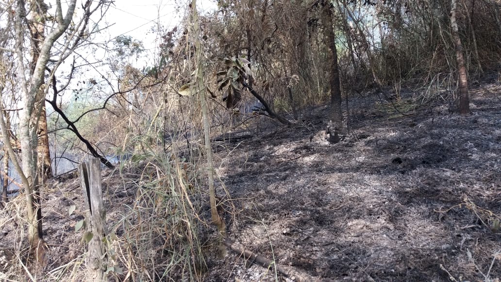 Incêndio atinge Reserva de Serra dos Cavalos, em Caruaru