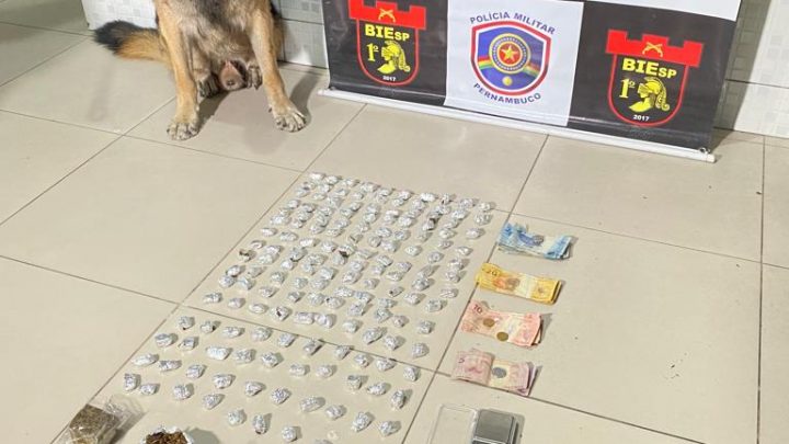 Cão farejador ajuda desmonte de ponto de venda de drogas em Caruaru