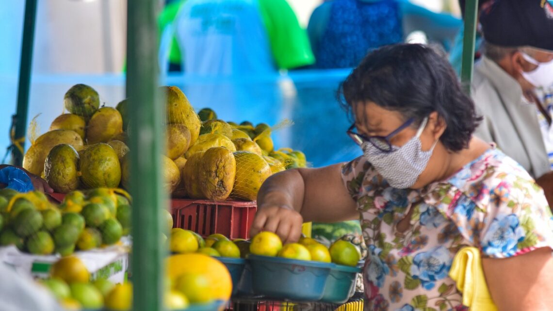 Feiras livres serão antecipadas nos feriados de Natal e Réveillon em Caruaru Feiras livres serão antecipadas nos feriados de Natal e Réveillon em Caruaru