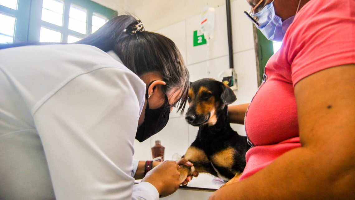 AME Animal Caruaru amplia horários de atendimentos ao público