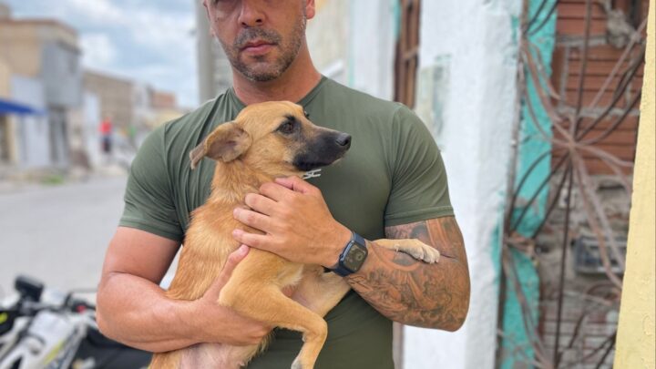 Vereador Anderson Correia combate crime de maus-tratos a um animal no bairro Cedro