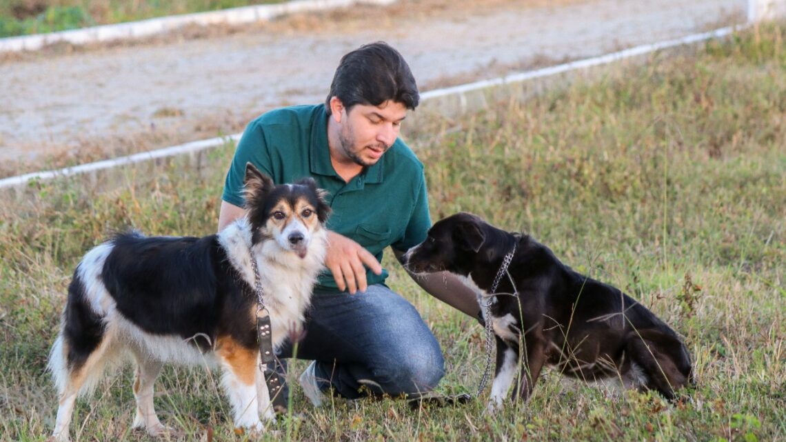 Feira de adoção de animais é realizada após dois anos sem poder funcionar Feira de adoção de animais é realizada após dois anos sem poder funcionar