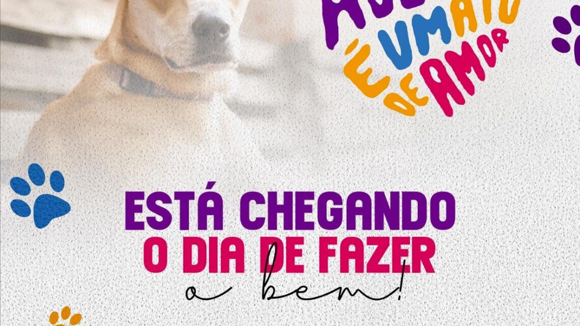 Com apoio de Anderson Correia, “Adotar é um ato de amor” acontece neste sábado (19) em Caruaru Com apoio de Anderson Correia, “Adotar é um ato de amor” acontece neste sábado (19) em Caruaru