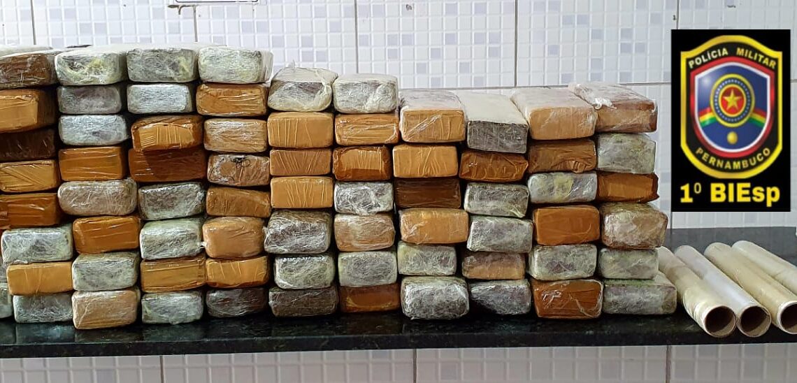 Jovem é preso com mais de 60 quilos de maconha, em Caruaru Jovem é preso com mais de 60 quilos de maconha, em Caruaru