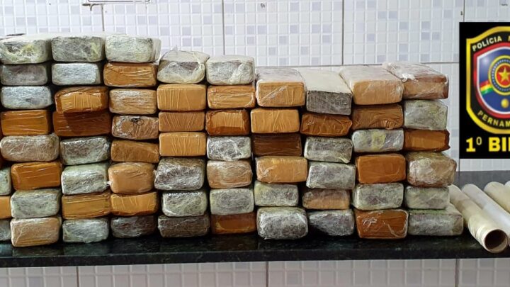 Jovem é preso com mais de 60 quilos de maconha, em Caruaru