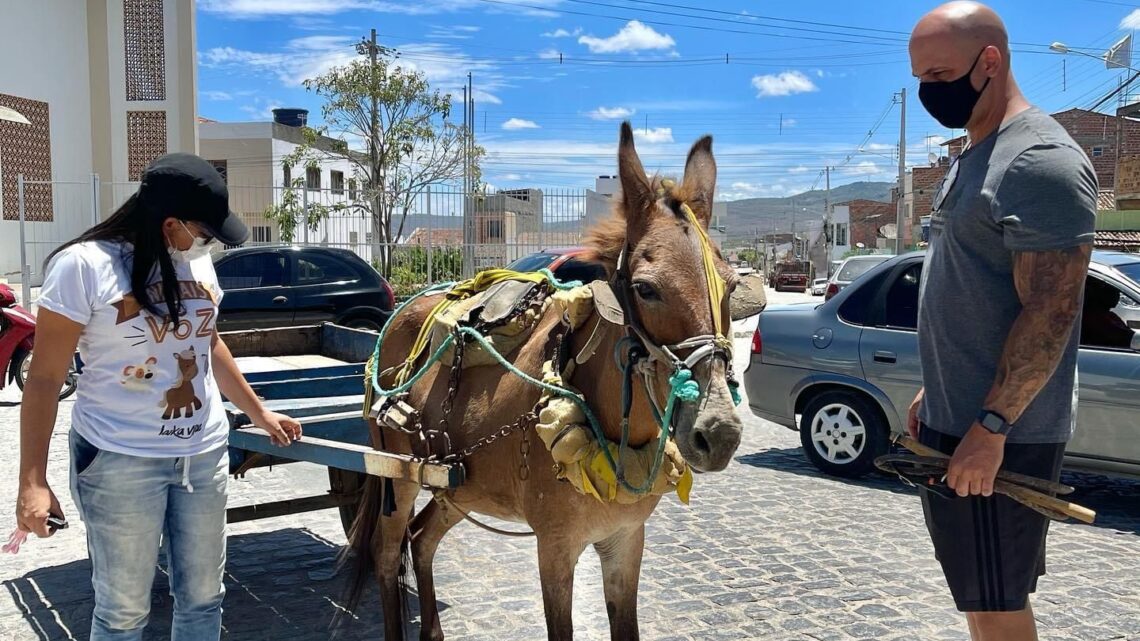 Anderson Correia volta a cobrar fiscalização e regulamentação da tração animal a AMTTC Anderson Correia volta a cobrar fiscalização e regulamentação da tração animal a AMTTC