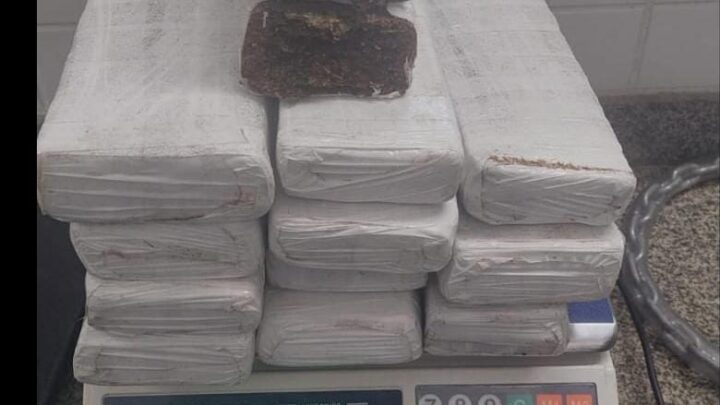 Polícia Militar apreende grande quantidade de drogas