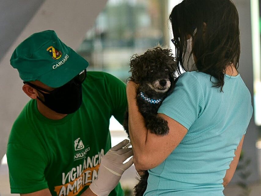 Serviços de saúde animal são ofertados no bairro Rendeiras nesta terça (12)