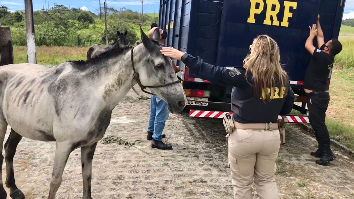 PRF registra redução de 70% no número de mortes na Operação Semana Santa em Pernambuco