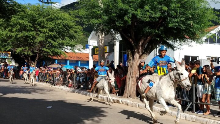 Festival Nacional de Jericos de Panelas começa neste domingo (24); Confira