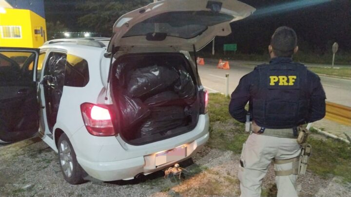 Motorista é detido com 290 Kg de maconha na BR 232