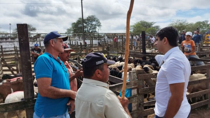 Lessa busca melhorias para feira de ovelhas de Caruaru