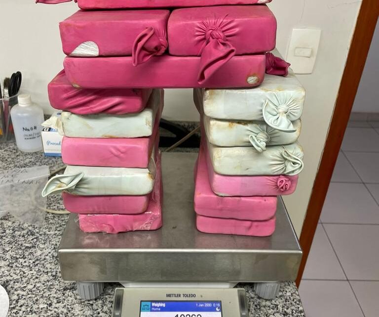 Polícia apreende quase 20 quilos de cocaína na BR 232