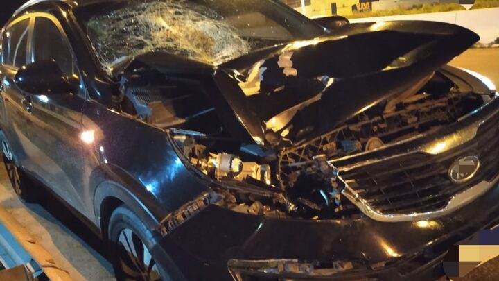 Atropelamento com vítima fatal na BR 232