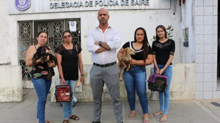 Anderson Correia e protetores Anjos de Sairé resgatam animais em situação de maus-tratos