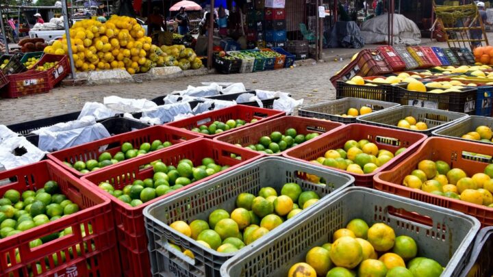 Corrida Monte Bom Jesus: Ceaca distribuirá mil kits com bananas e laranjas, neste domingo (18)