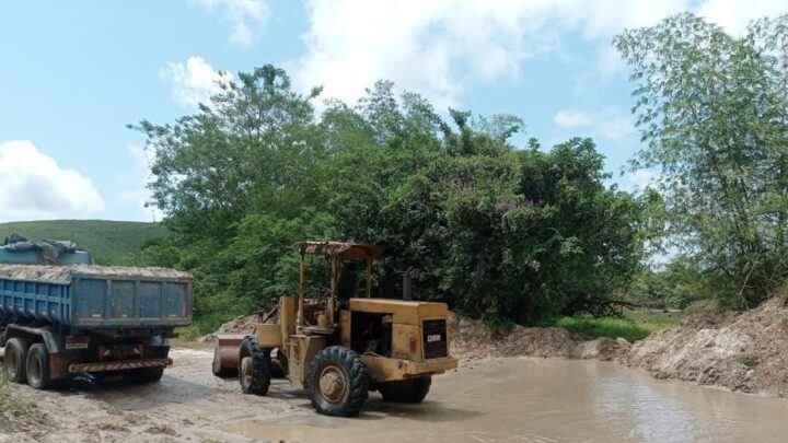 PM detém suspeitos de crime ambiental