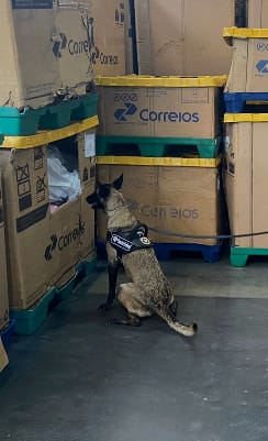 Receita Federal apreende 7kg de cocaína e mais de 1kg de skank nos Correios de Recife Receita Federal apreende 7kg de cocaína e mais de 1kg de skank nos Correios de Recife
