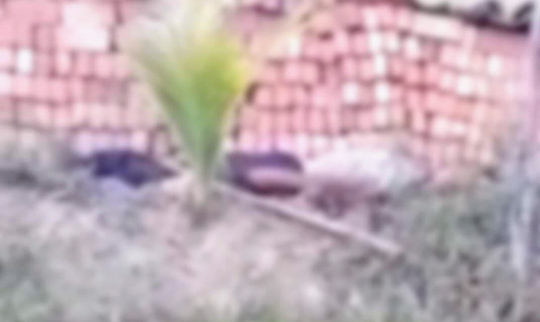 Duplo homicídio: Irmãos são assassinados a tiros