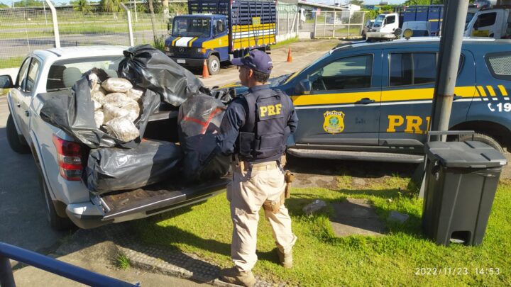 Motorista é detido com 48 Kg de maconha em caminhonete