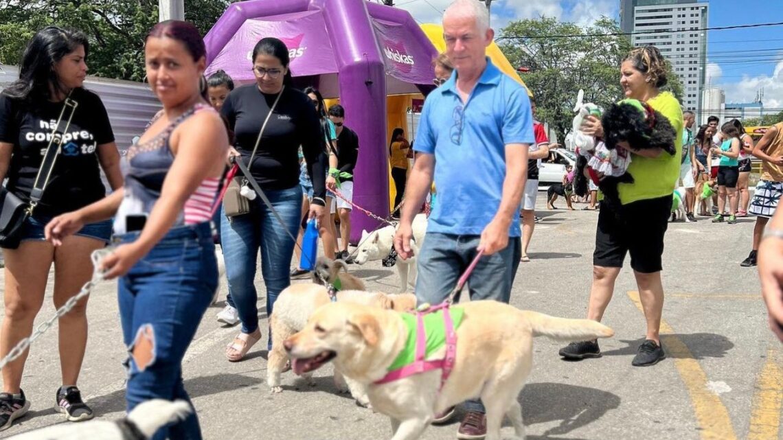 1ª Cãominhada Dezembro Verde reúne vários animais e tutores em Caruaru