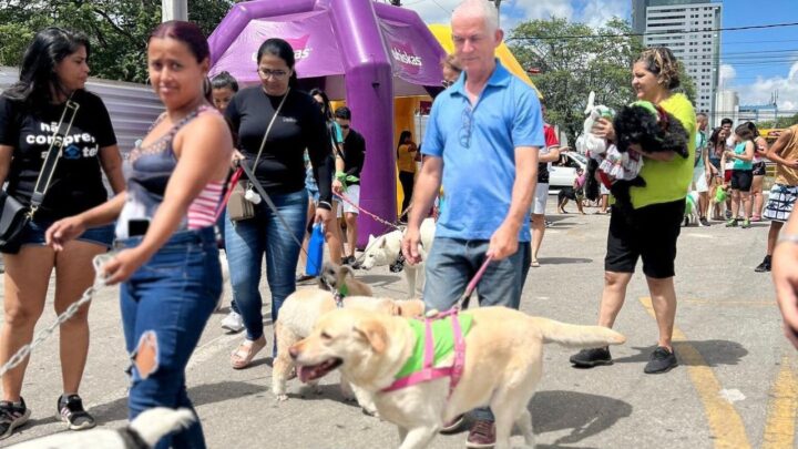 1ª Cãominhada Dezembro Verde reúne vários animais e tutores em Caruaru