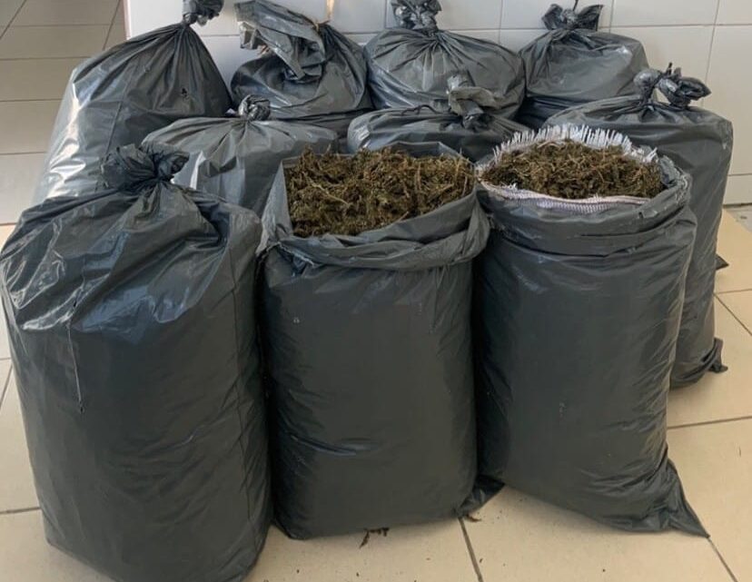 Mais de 110 kg de maconha são apreendidos dentro de táxi Mais de 110 kg de maconha são apreendidos dentro de táxi