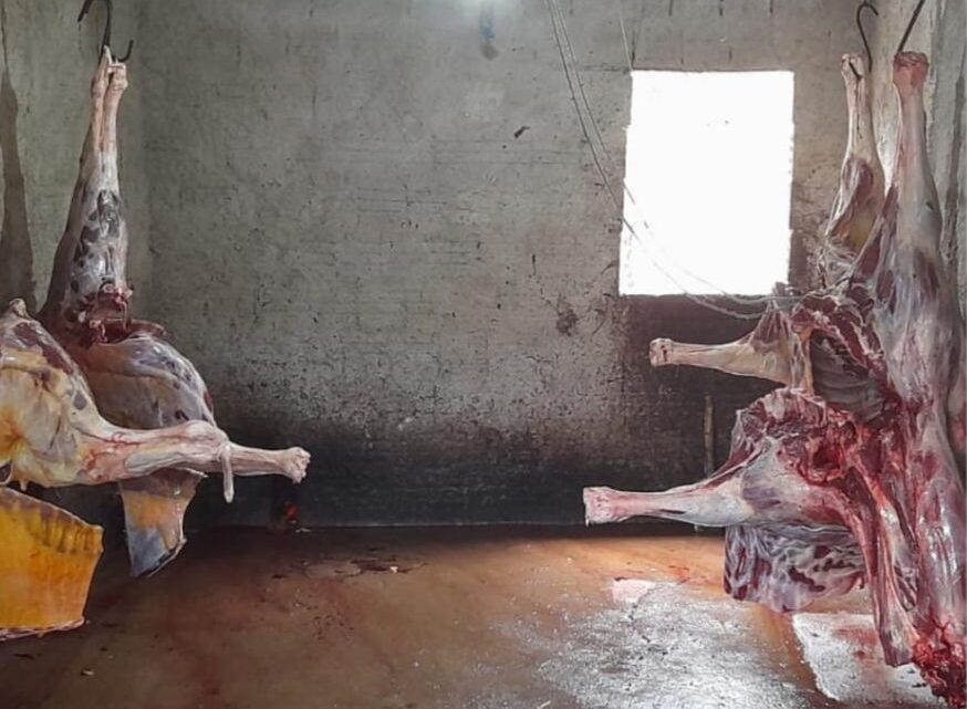 PM fecha um matadouro de cavalos no Agreste de Pernambuco