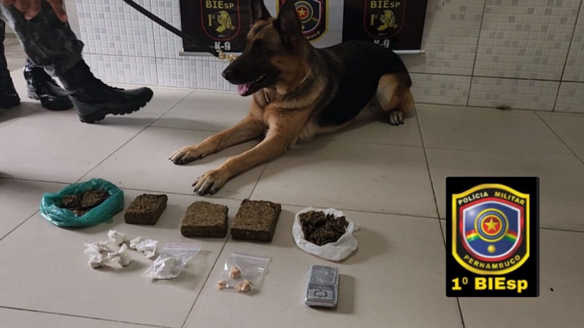 Adolescente apreendido com maconha, cocaína e crack, em Caruaru Adolescente apreendido com maconha, cocaína e crack, em Caruaru