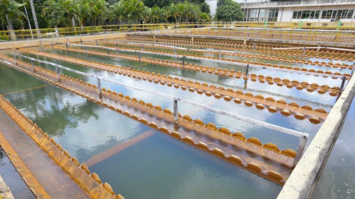 Compesa reforça abastecimento de água  nos focos de folia em Pernambuco