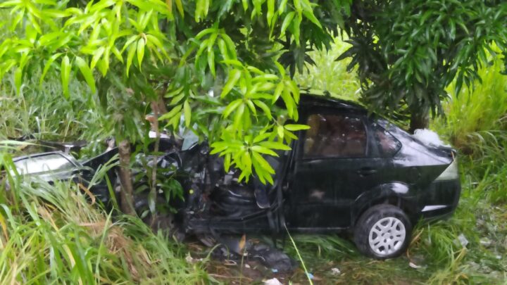 Médica morre, após carro sair da BR 232 e colidir em árvore