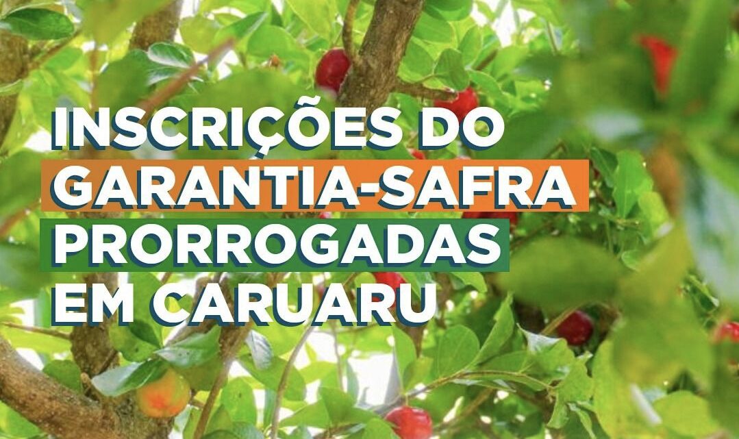 Inscrições do Garantia-Safra seguem até a próxima quinta-feira (09) Inscrições do Garantia-Safra seguem até a próxima quinta-feira (09)
