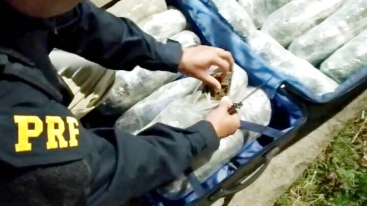 Passageiro de ônibus que transportava 20 Kg de maconha é detido pela PRF, na BR 232