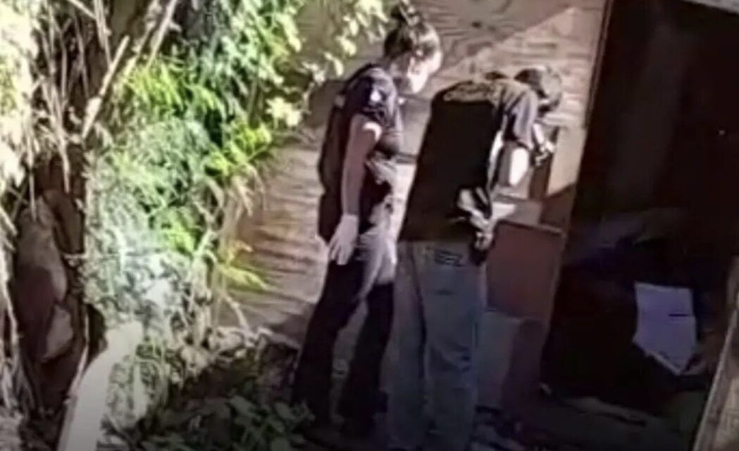 Mulher é assassinada dentro da própria casa em Caruaru