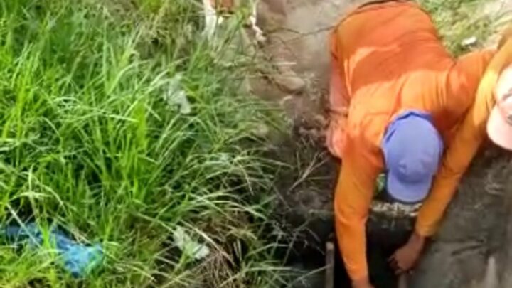 Desaparecido há 8 dias, idoso é encontrado dentro de bueiro