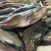 Caruaru inicia cadastro para as tradicionais Feiras de Peixe da Semana Santa