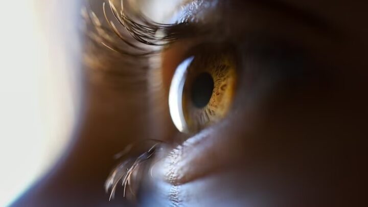 OMS: 80% dos casos de deficiência visual poderiam ter sido tratados