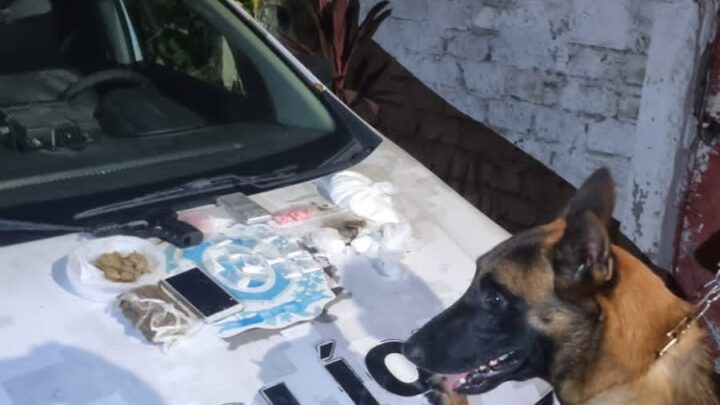 Cão de faro descobre drogas enterradas