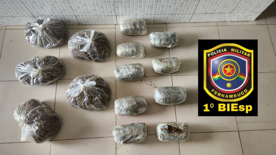 PM prende mulher e apreende 14kg de maconha em Caruaru PM prende mulher e apreende 14kg de maconha em Caruaru