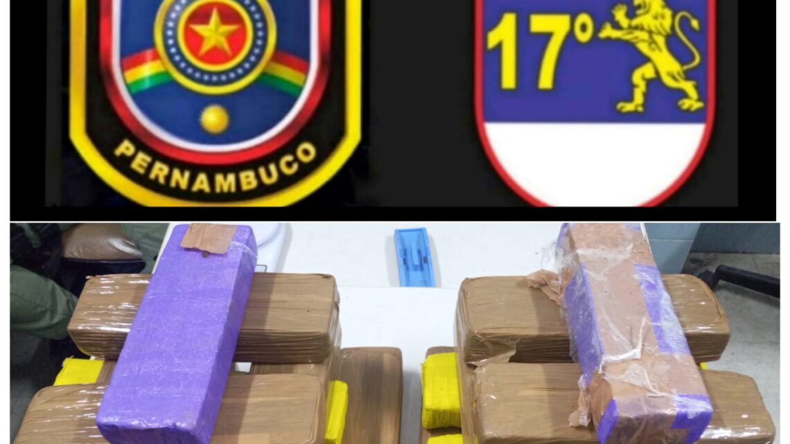 PM recolhe mais de 16kg de maconha PM recolhe mais de 16kg de maconha